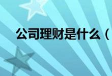 公司理财是什么（企业理财具体是什么）