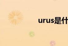  urus是什么级别的suv 