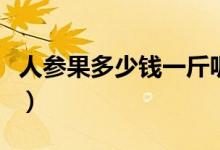 人参果多少钱一斤呢（人参果价格一斤多少钱）