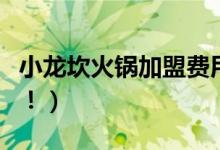 小龙坎火锅加盟费用多少钱（费用问题有这些！）