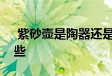  紫砂壶是陶器还是瓷器紫砂壶适合的茶有哪些 