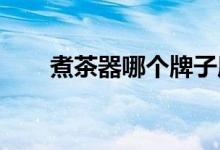  煮茶器哪个牌子质量好它有什么优点 