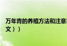 万年青的养殖方法和注意事项盆栽（万年青的养殖方法（图文））