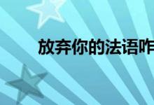 放弃你的法语咋写（放弃你的歌词）