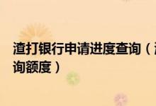 渣打银行申请进度查询（渣打银行信用卡申请通过后怎么查询额度）
