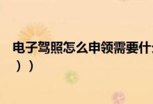 电子驾照怎么申领需要什么条件（电子驾照怎么申请（图文））