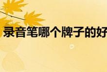 录音笔哪个牌子的好（音质最好的品牌分享）