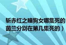 斩赤红之瞳狗女哪集死的（斩赤红之瞳动画切妹狗妹黑瞳玛茵兰分别在第几集死的）