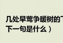 几处早莺争暖树的下一句（几处早莺争暖树的下一句是什么）