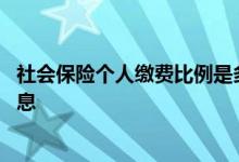 社会保险个人缴费比例是多少 如何查询社会保险个人缴费信息 