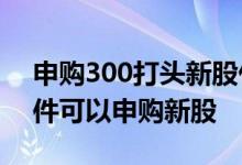 申购300打头新股什么条件 股票满足什么条件可以申购新股