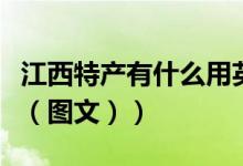 江西特产有什么用英文表达（江西特产有什么（图文））