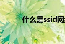 什么是ssid网络（什么是SSID）