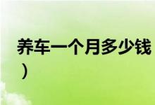 养车一个月多少钱（老司机告诉真实的情况！）