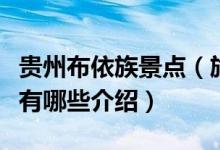 贵州布依族景点（旅游常识中关于贵州布依族有哪些介绍）