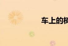  车上的树脂怎么清洗 