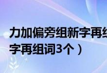 力加偏旁组新字再组词二年级（力加偏旁组新字再组词3个）