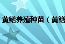黄鳝养殖种苗（黄鳝种苗在哪几月适合下苗）