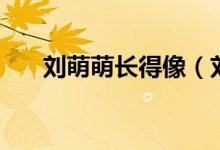 刘萌萌长得像（刘萌萌声音是谁配得）