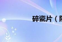 碎瓷片（防暴沸的原理）