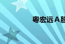 粤宏远Ａ股票表现怎么样