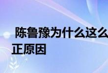  陈鲁豫为什么这么瘦 这是她瘦成纸片人的真正原因 