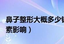 鼻子整形大概多少钱（鼻子整形价格有哪些因素影响）