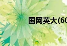 国网英大(600517)股票如何