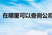 在哪里可以查询公司股东 股东人数怎么查询