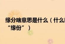 缘分啥意思是什么（什么叫做“缘份”到底是“缘分”还是“缘份”）