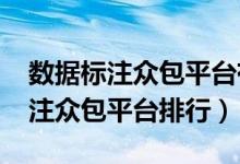 数据标注众包平台有哪些（2020中国数据标注众包平台排行）