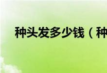 种头发多少钱（种植头发有什么危害吗）
