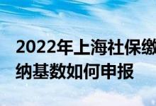 2022年上海社保缴纳基数是多少 上海社保缴纳基数如何申报 