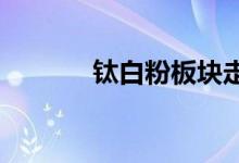 钛白粉板块走强金浦钛业涨停