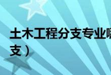 土木工程分支专业哪个好（工程学如何选择分支）