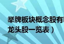 举牌板块概念股有哪些（2021年举牌概念股龙头股一览表）