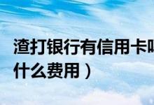 渣打银行有信用卡吗（渣打银行信用卡提现有什么费用）