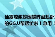 仙露琼浆蜂围蝶阵盘虬卧龙这三个词是什么意思（各位好心的GGJJ帮帮忙啦！急用！急用！！）