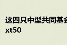 这四只中型共同基金的表现一直优于NiftyNext50