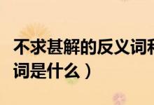 不求甚解的反义词和近义词（不求甚解的反义词是什么）