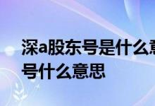 深a股东号是什么意思 沪a股东号和深a股东号什么意思