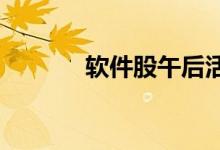 软件股午后活跃中国软件涨停