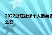 2022浙江社保个人缴费多少钱一个月 浙江社保个人缴费怎么交 