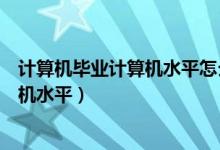 计算机毕业计算机水平怎么填写（计算机专业的怎么填计算机水平）