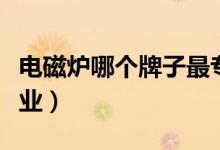 电磁炉哪个牌子最专业（电磁炉哪个牌子最专业）