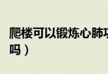 爬楼可以锻炼心肺功能吗（爬楼可以锻炼身体吗）