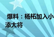  爆料：杨柘加入小米担任中国区CMO雷军再添大将 