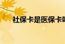 社保卡是医保卡吗 社保卡怎么查余额 