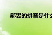 郝叟的拼音是什么（“郝叟”怎么读）