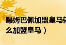 曝姆巴佩加盟皇马转会费是多少（姆巴佩为什么加盟皇马）